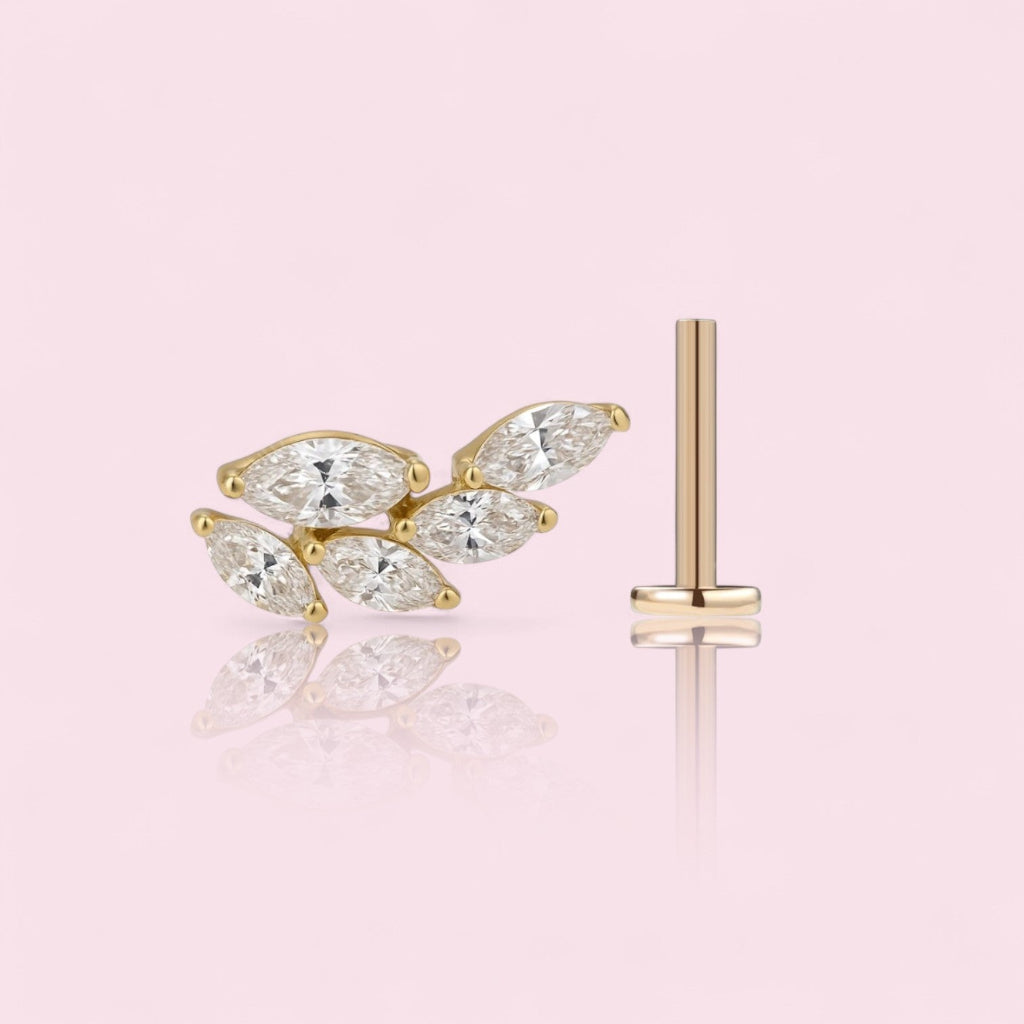 LABRET SELVIA
