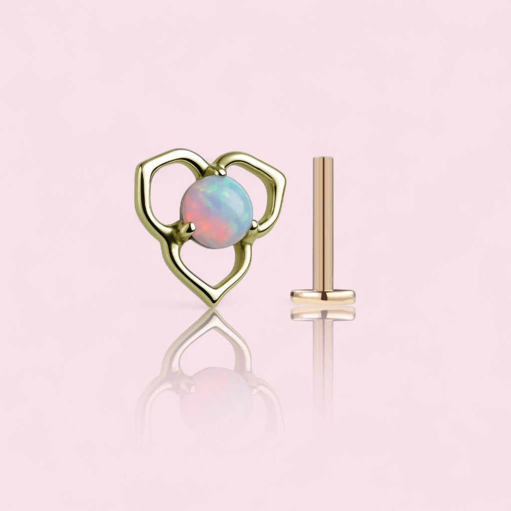 LABRET IRIS