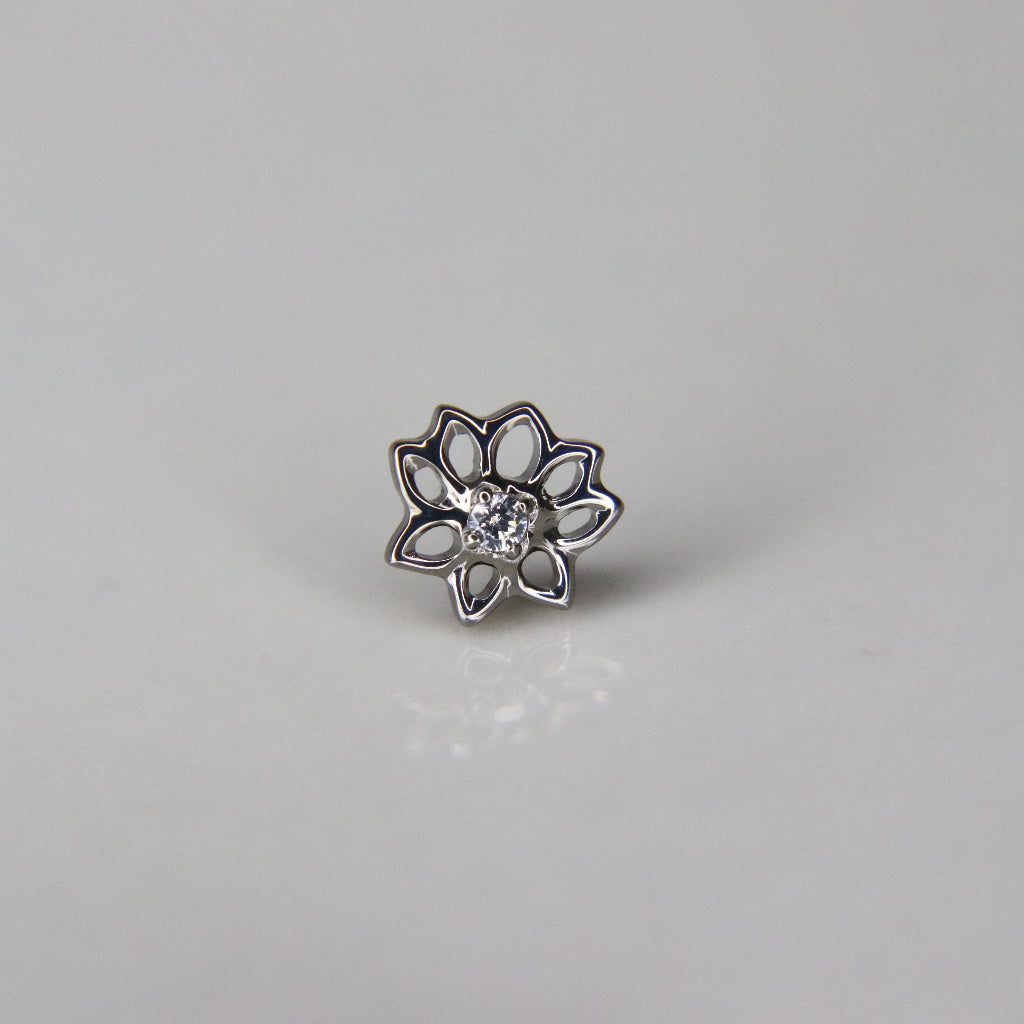 LABRET AURELIA LOTUS
