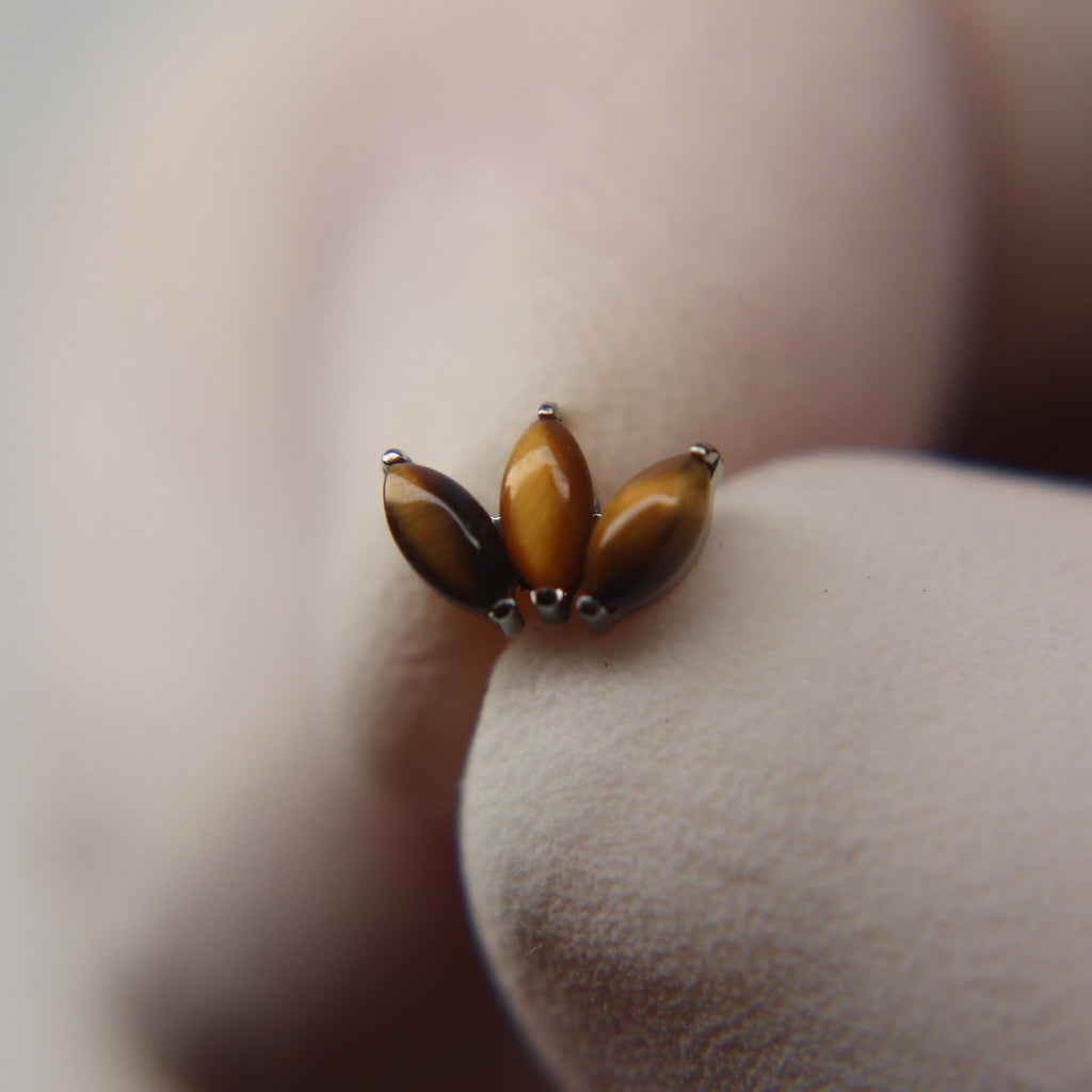 LABRET SELENE
