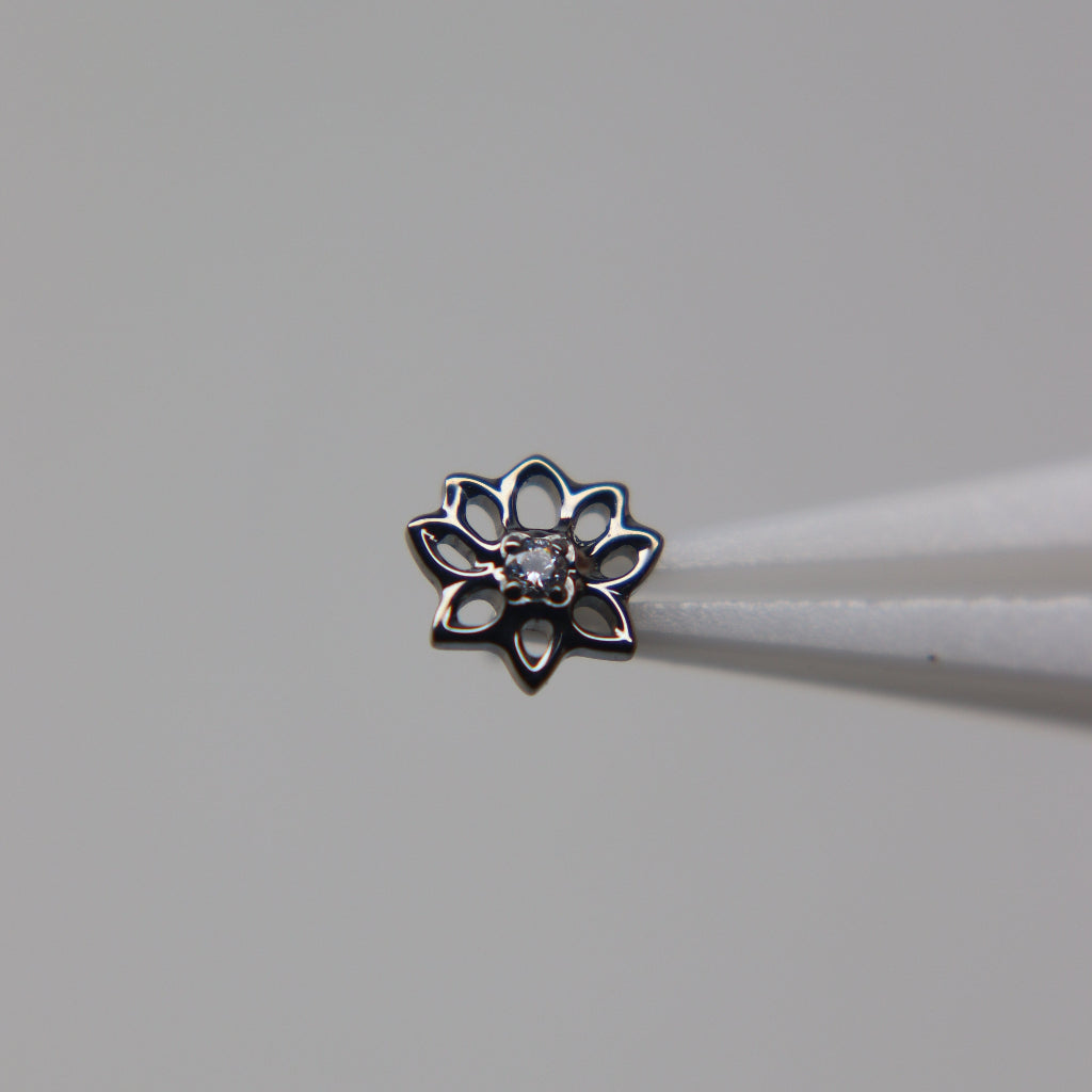 LABRET AURELIA LOTUS