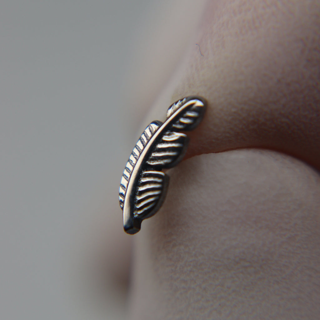 LABRET PLUMA