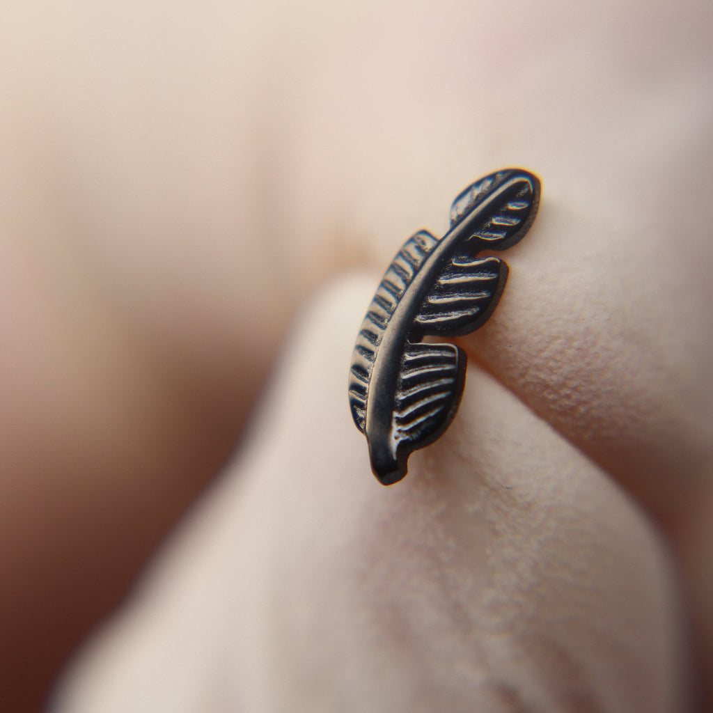 LABRET PLUMA