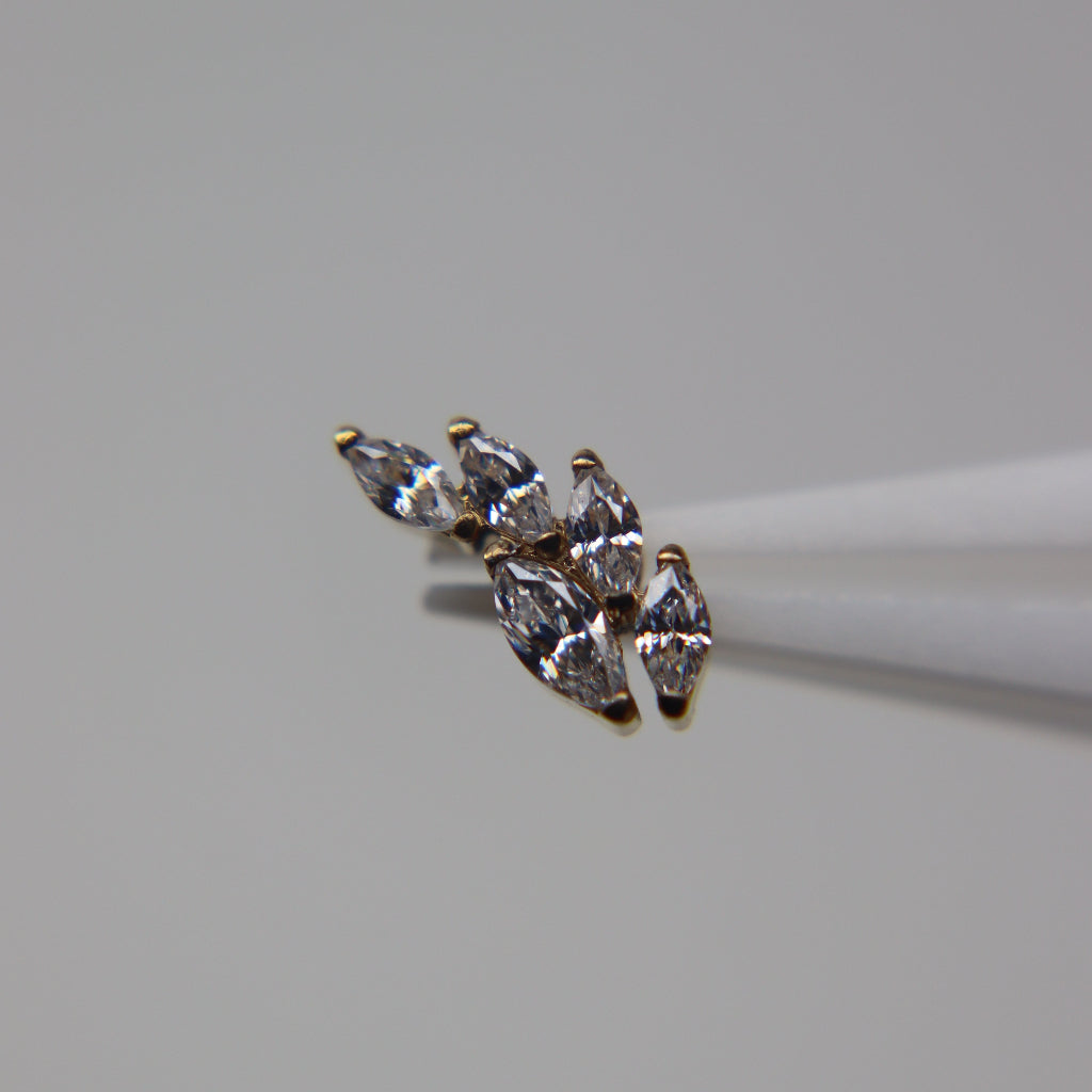 LABRET SELVIA