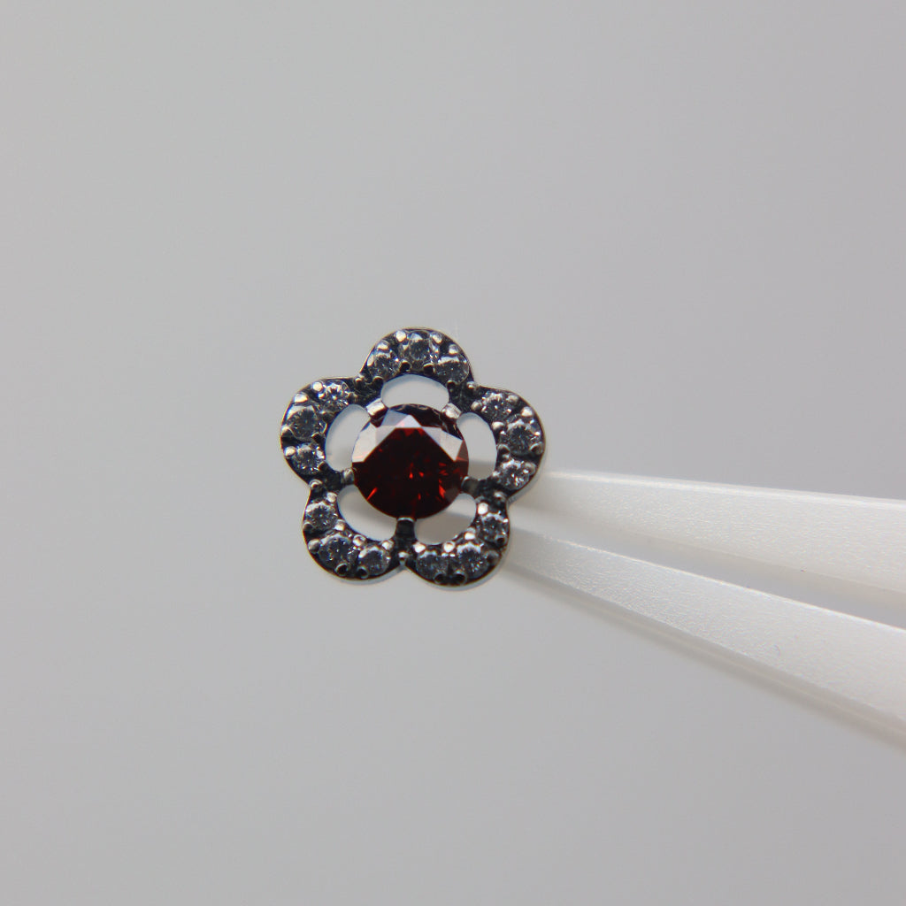LABRET VINCA MINOR
