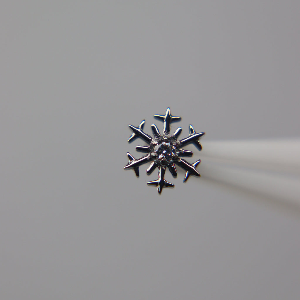 LABRET IRISÉ