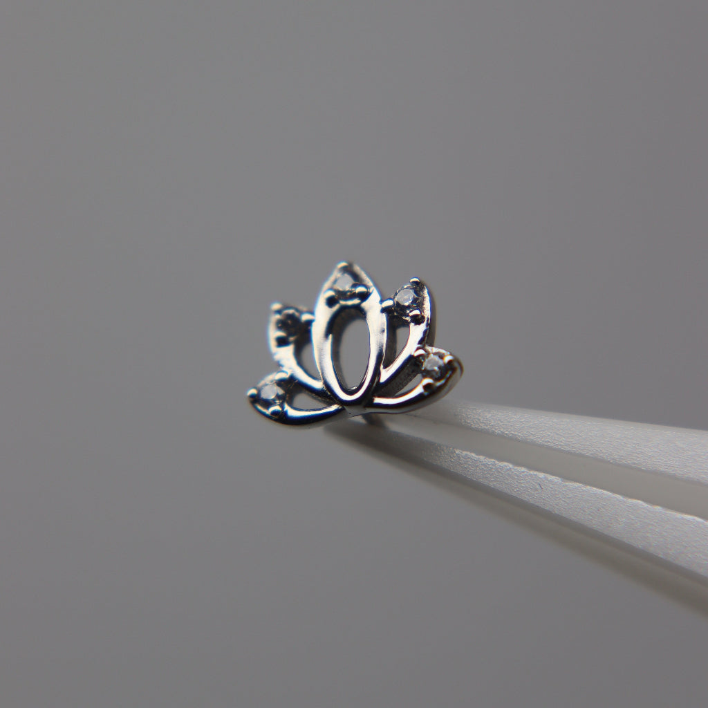 TOP LOTUS