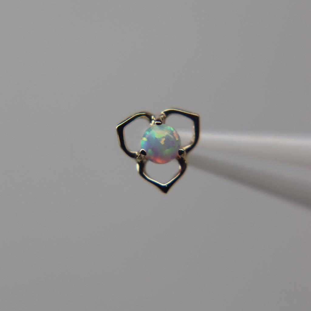 LABRET IRIS