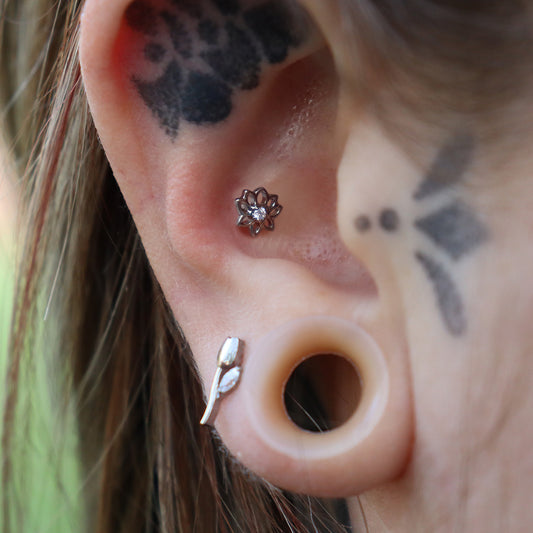 LABRET AURELIA LOTUS