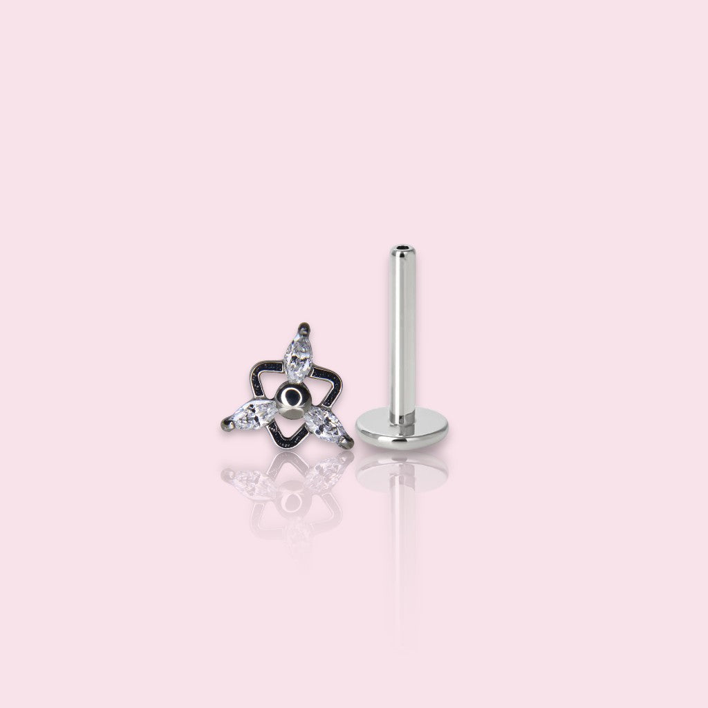 LABRET TRIANA