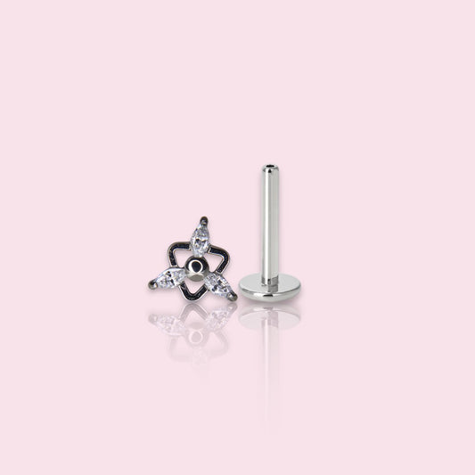 LABRET TRIANA