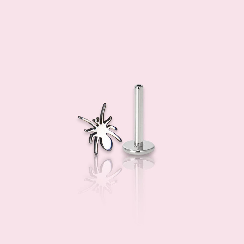 LABRET ARACNE