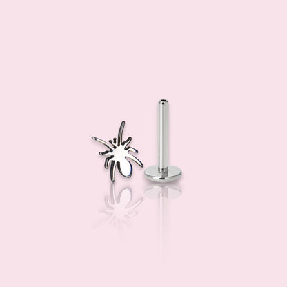 LABRET ARACNE