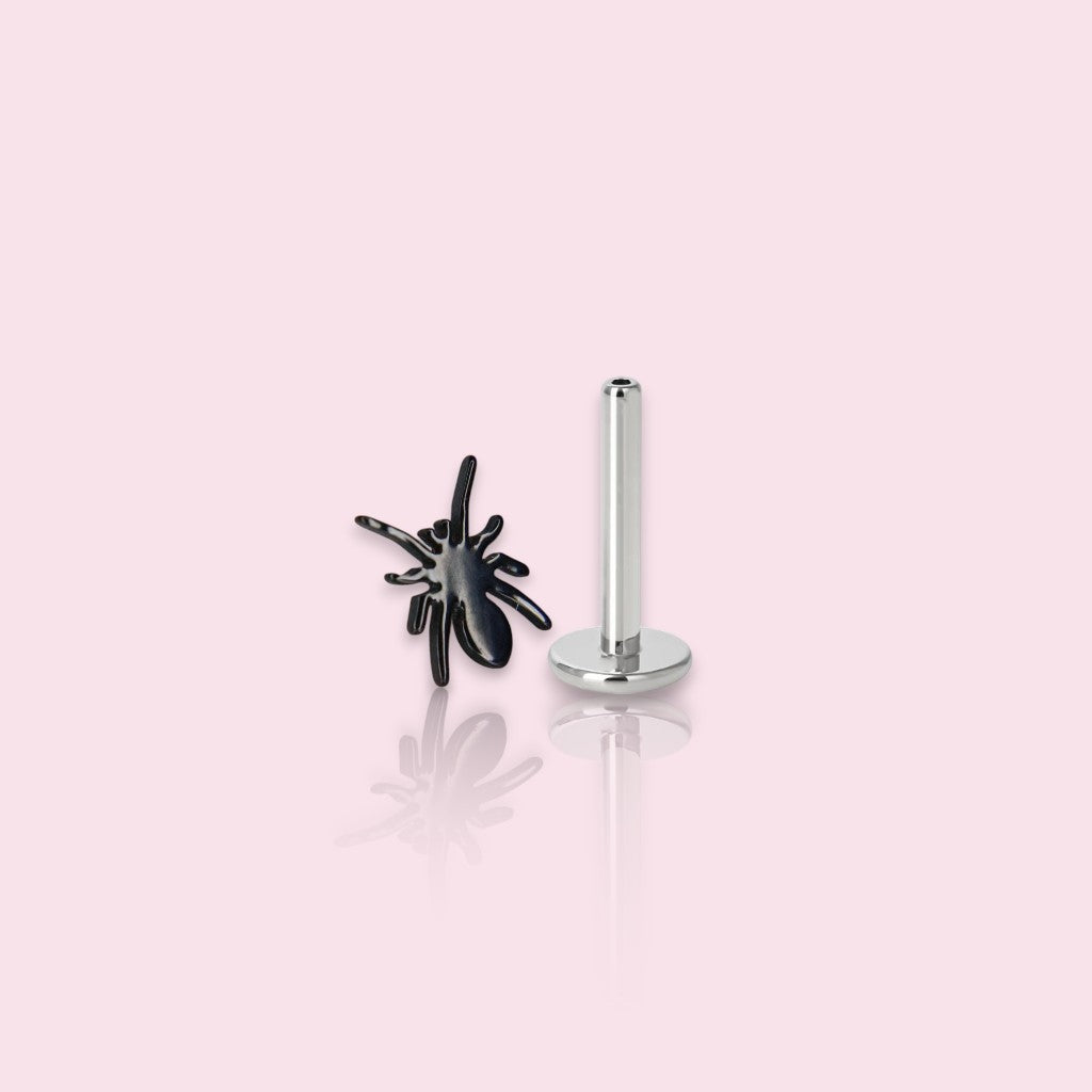 LABRET ARACNE