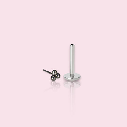 LABRET TRINITY