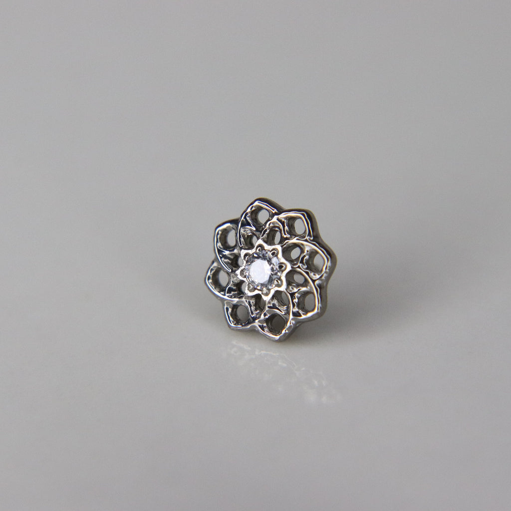 LABRET DAHLIA