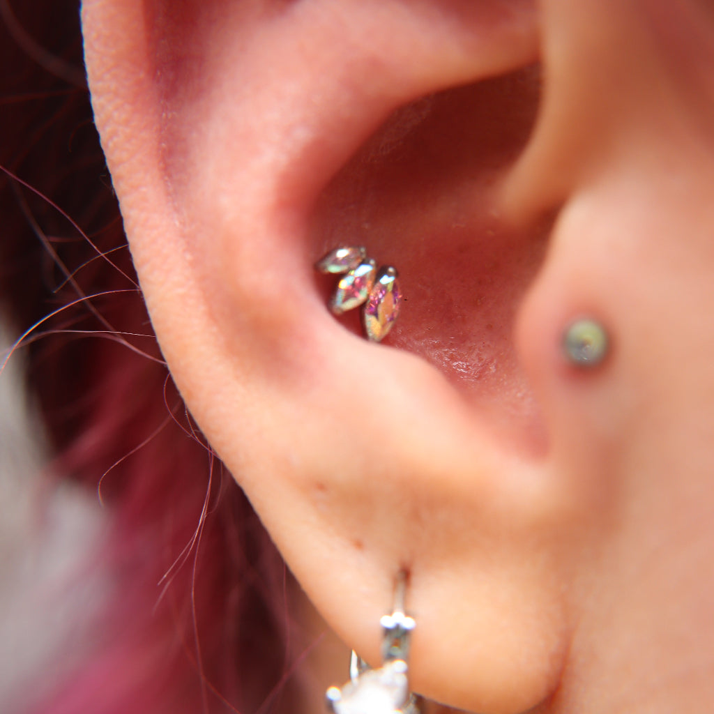 LABRET ASTELLE