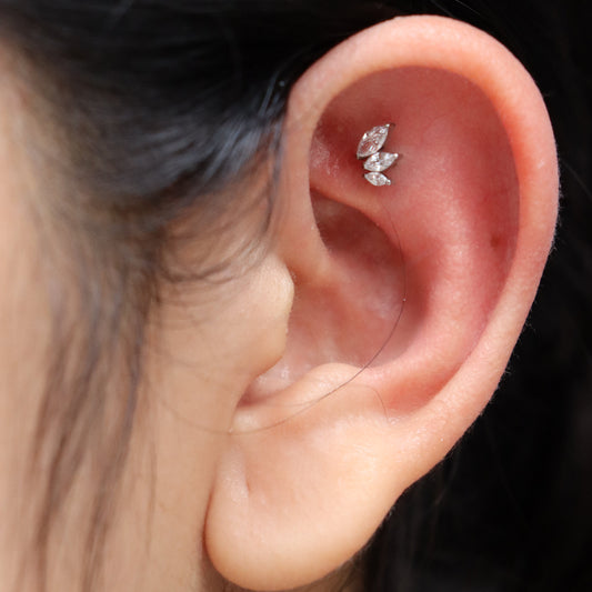 LABRET ASTELLE