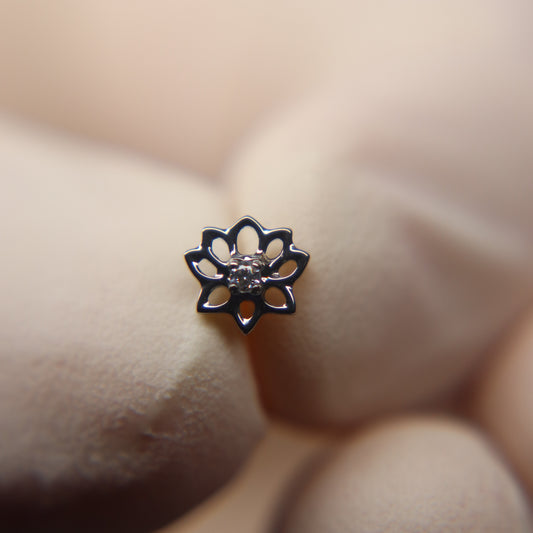 LABRET AURELIA LOTUS