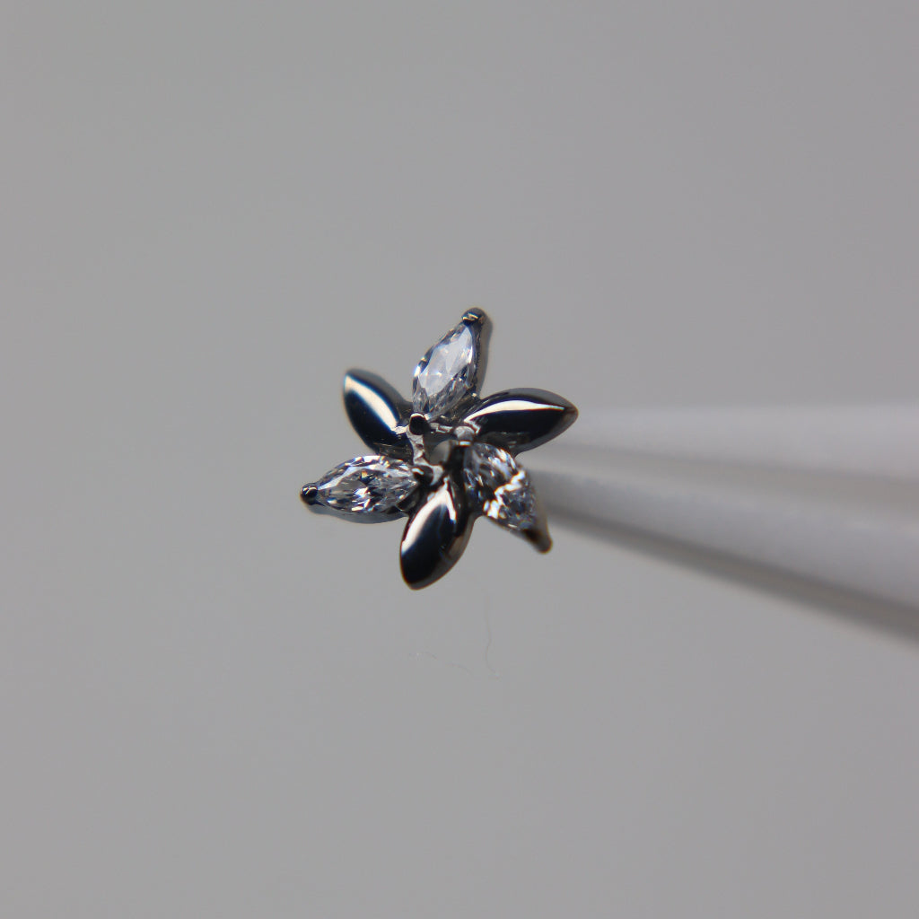 LABRET VIRELLA