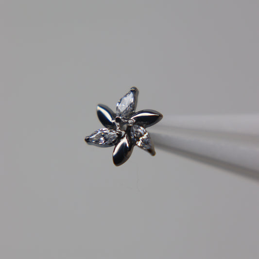 LABRET VIRELLA