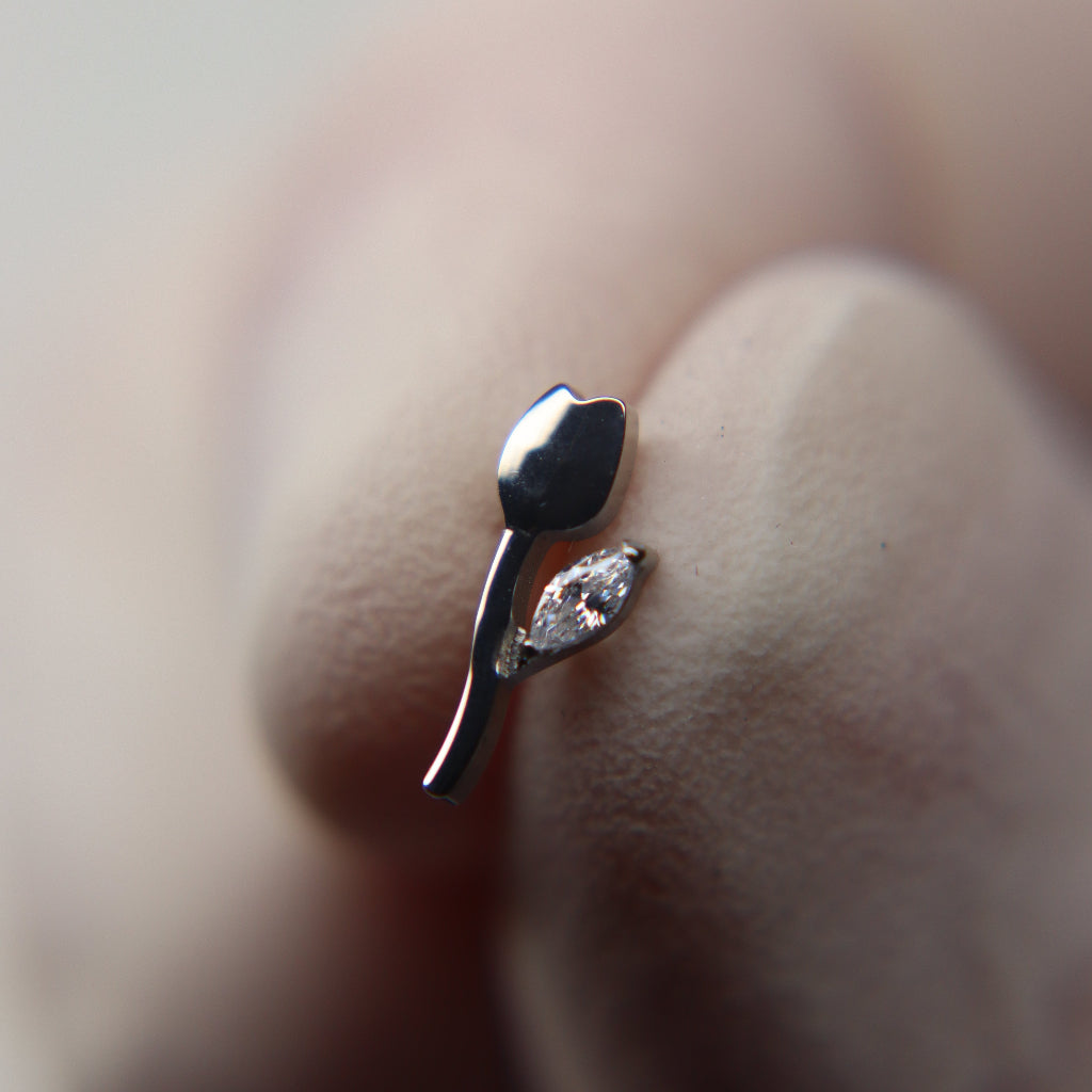 LABRET ROSABELLA