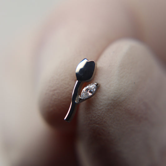 LABRET ROSABELLA
