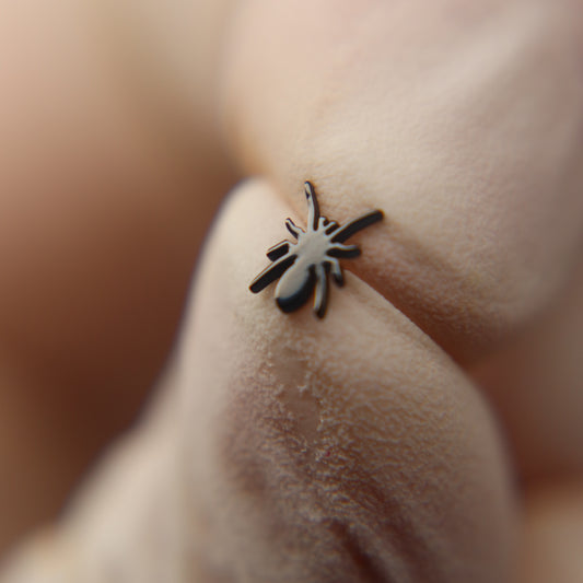 LABRET ARACNE
