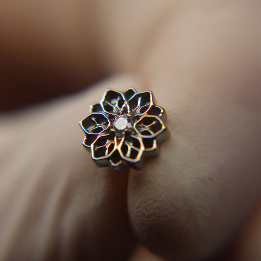 LABRET LÔTIA
