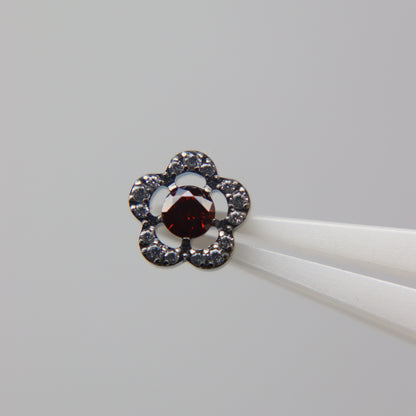 LABRET VINCA MINOR