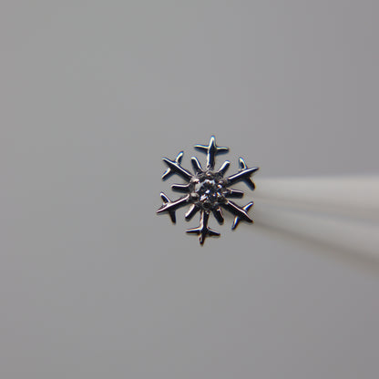 LABRET IRISÉ