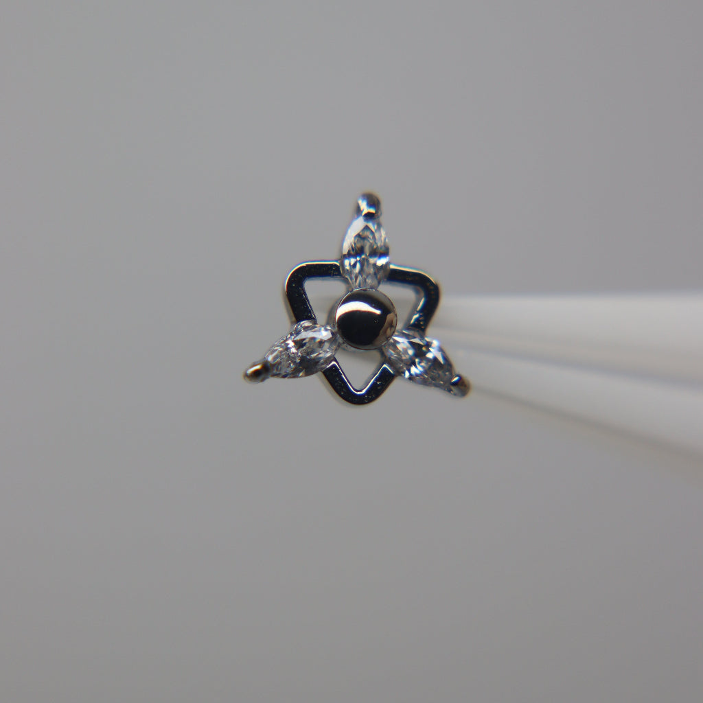 LABRET TRIANA
