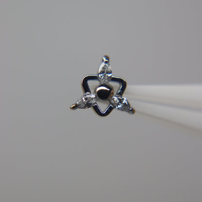 LABRET TRIANA