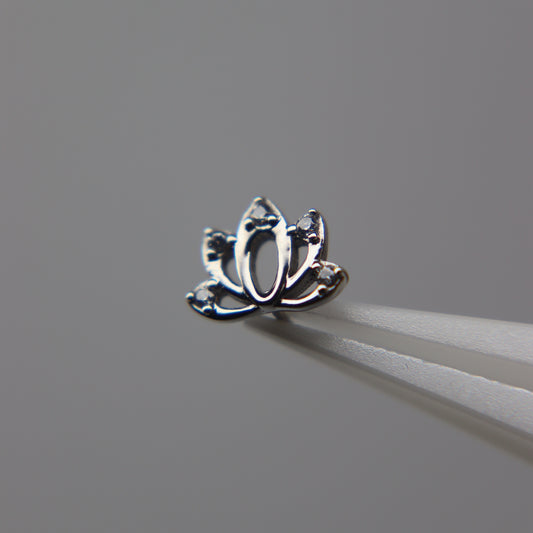 TOP LOTUS