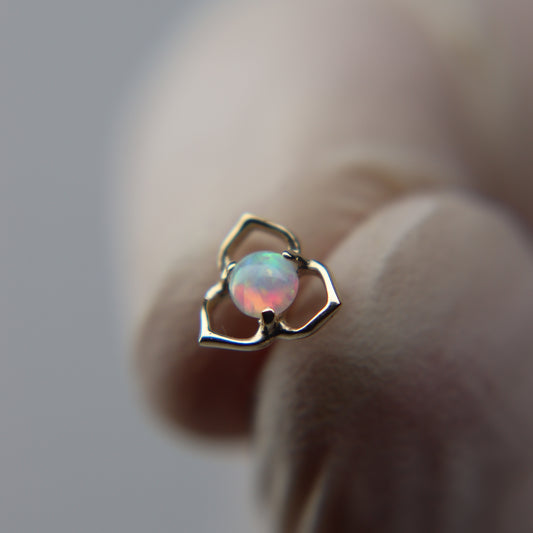 LABRET IRIS