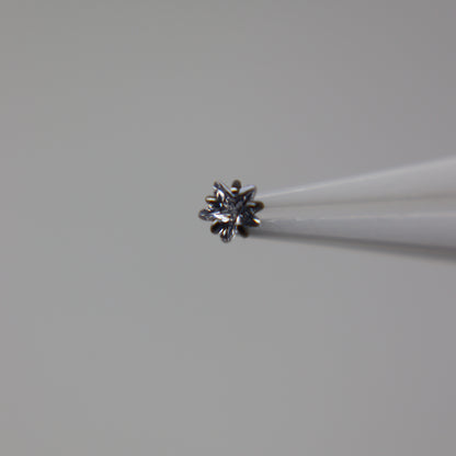 LABRET LUMINIA
