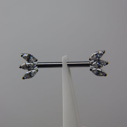 BARBELLS TRIADA
