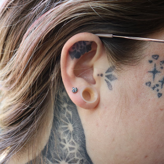 LABRET TRILLINA