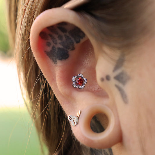 LABRET VINCA MINOR