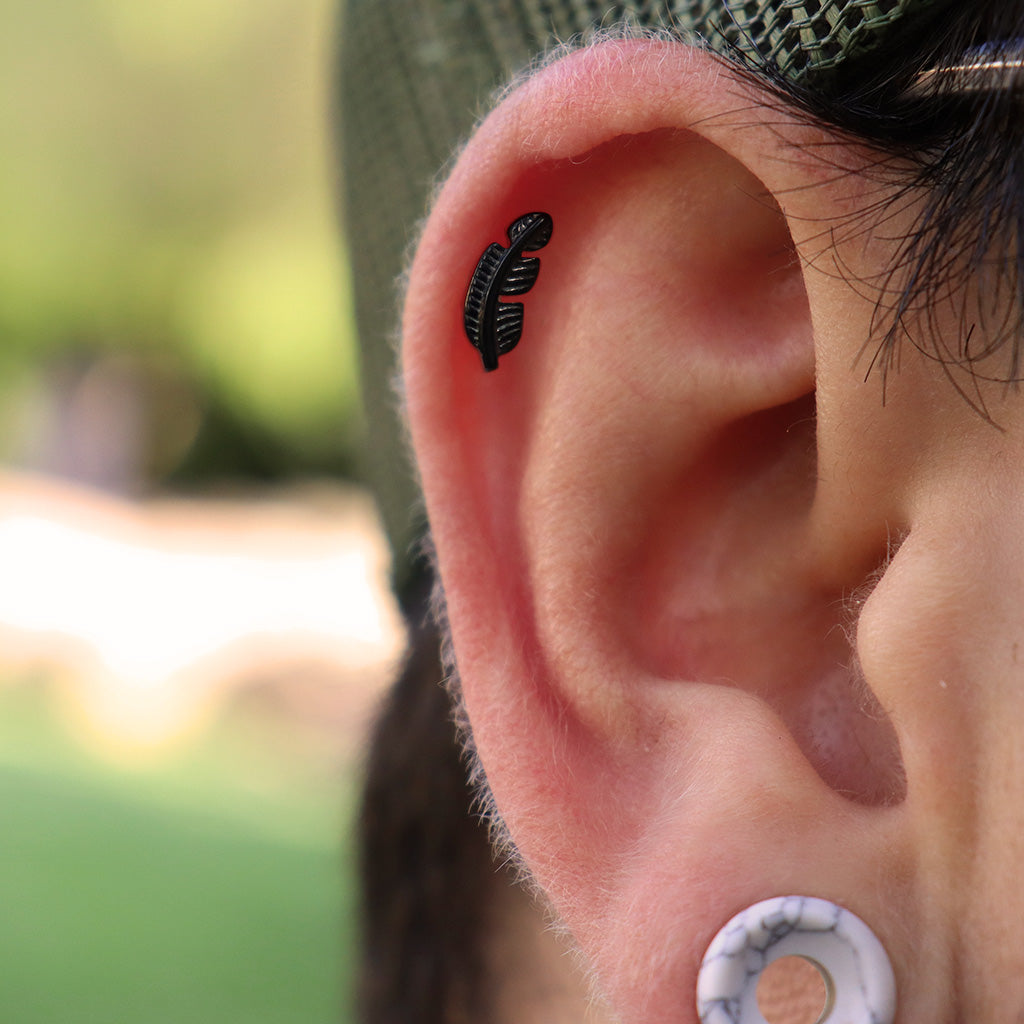 LABRET PLUMA