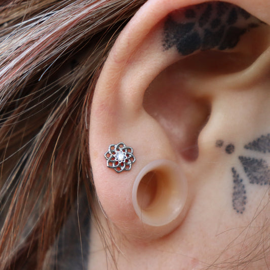 LABRET DAHLIA
