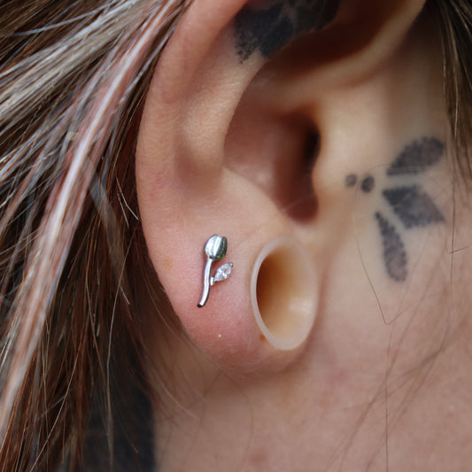 LABRET ROSABELLA