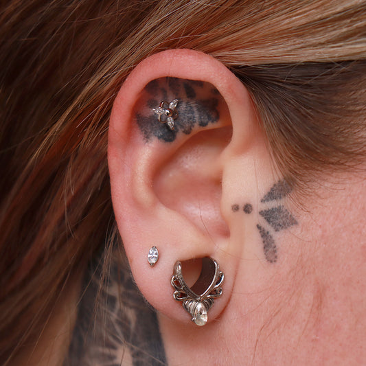 LABRET TRIANA