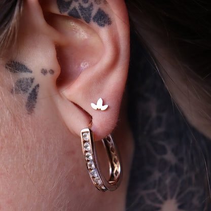 LABRET FLOREÁL