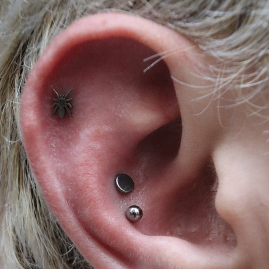 LABRET ARACNE