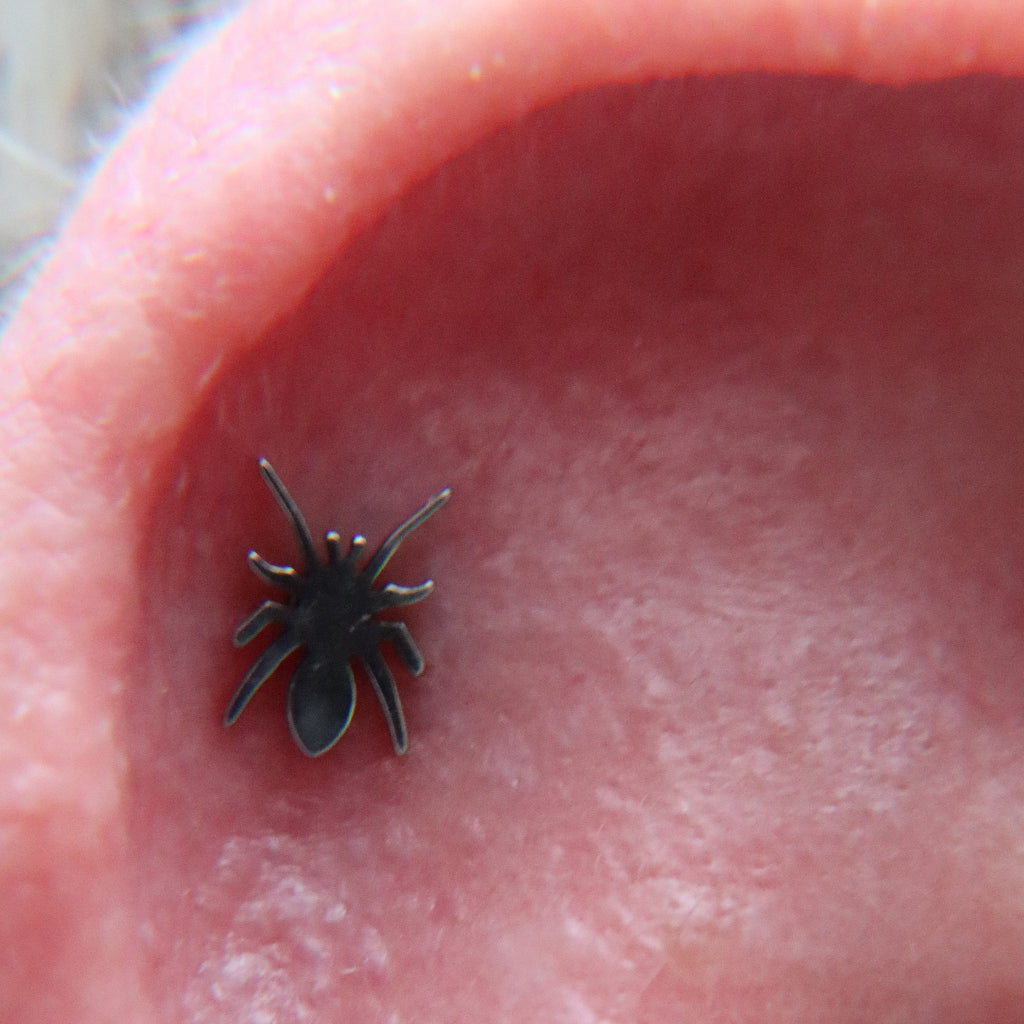 LABRET ARACNE