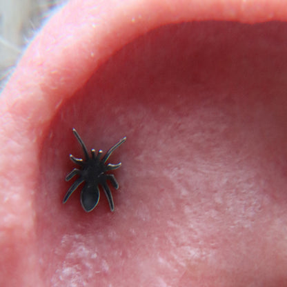 LABRET ARACNE