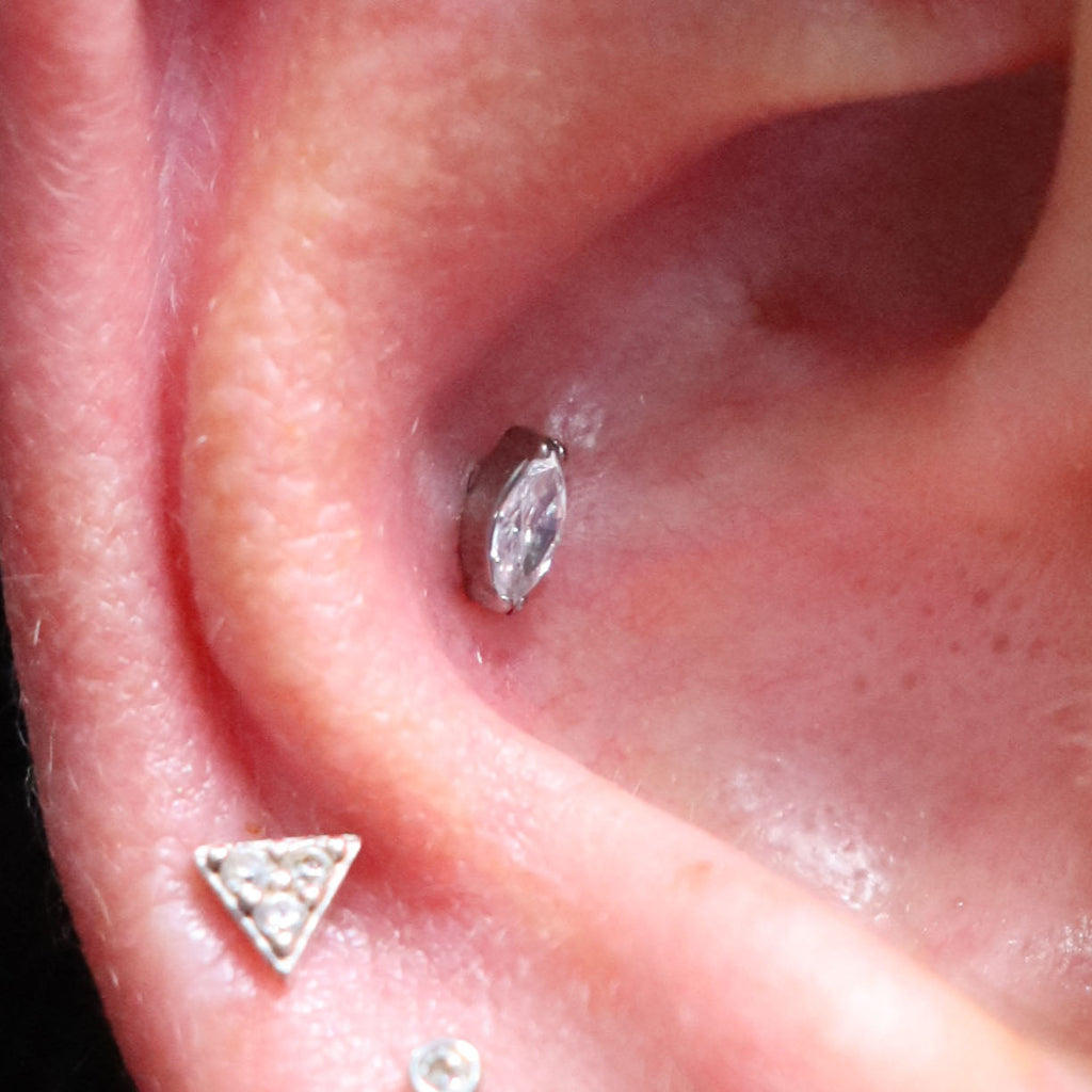 LABRET AURORA